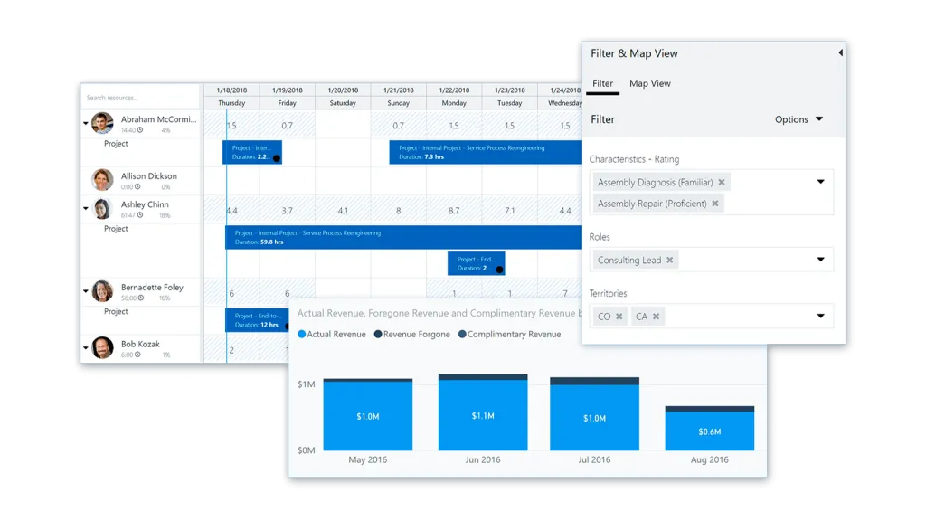 Ejemplo de la intefaz de Dynamics 365 for Project Service Automation