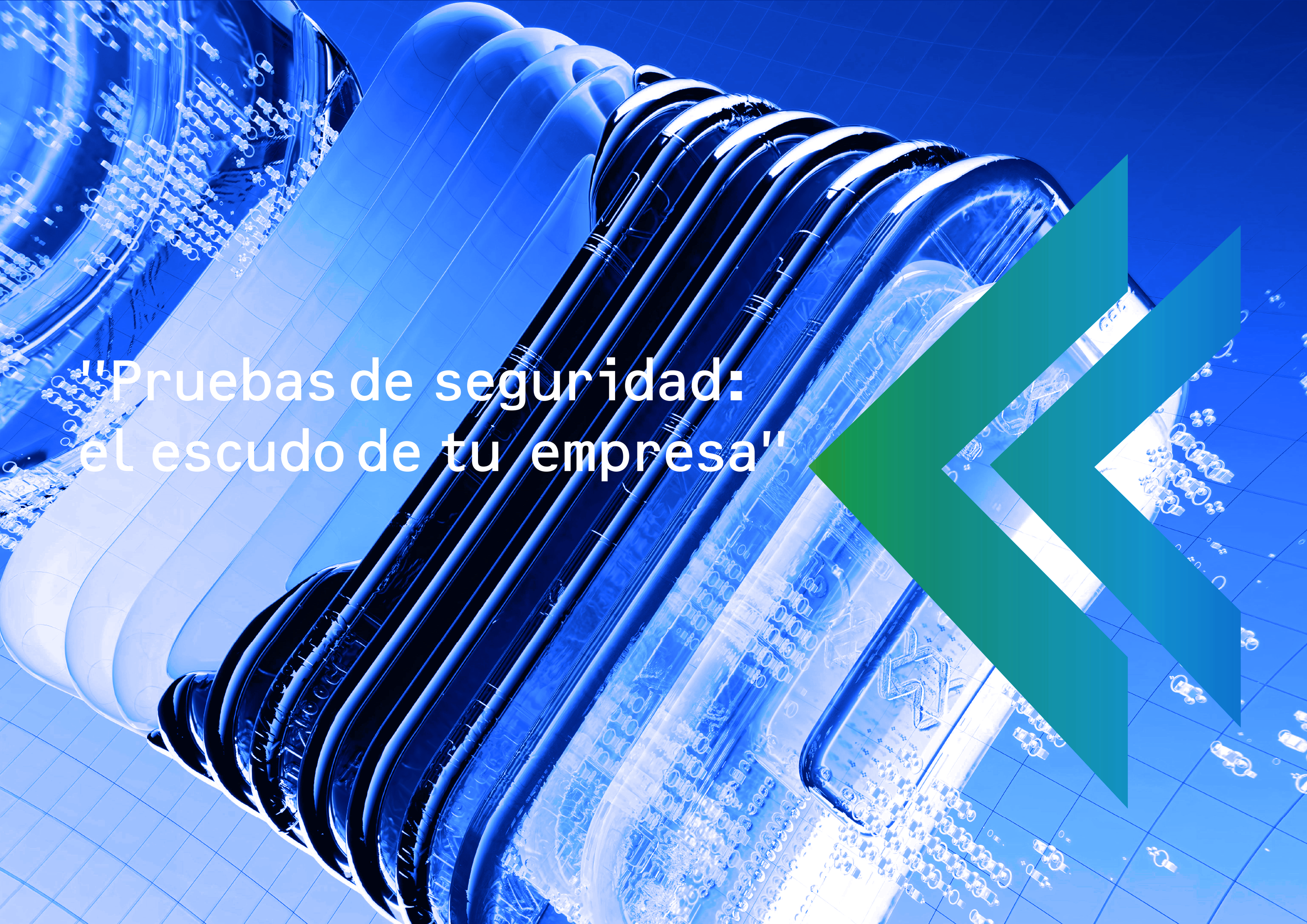 pruebas_de_seguridad